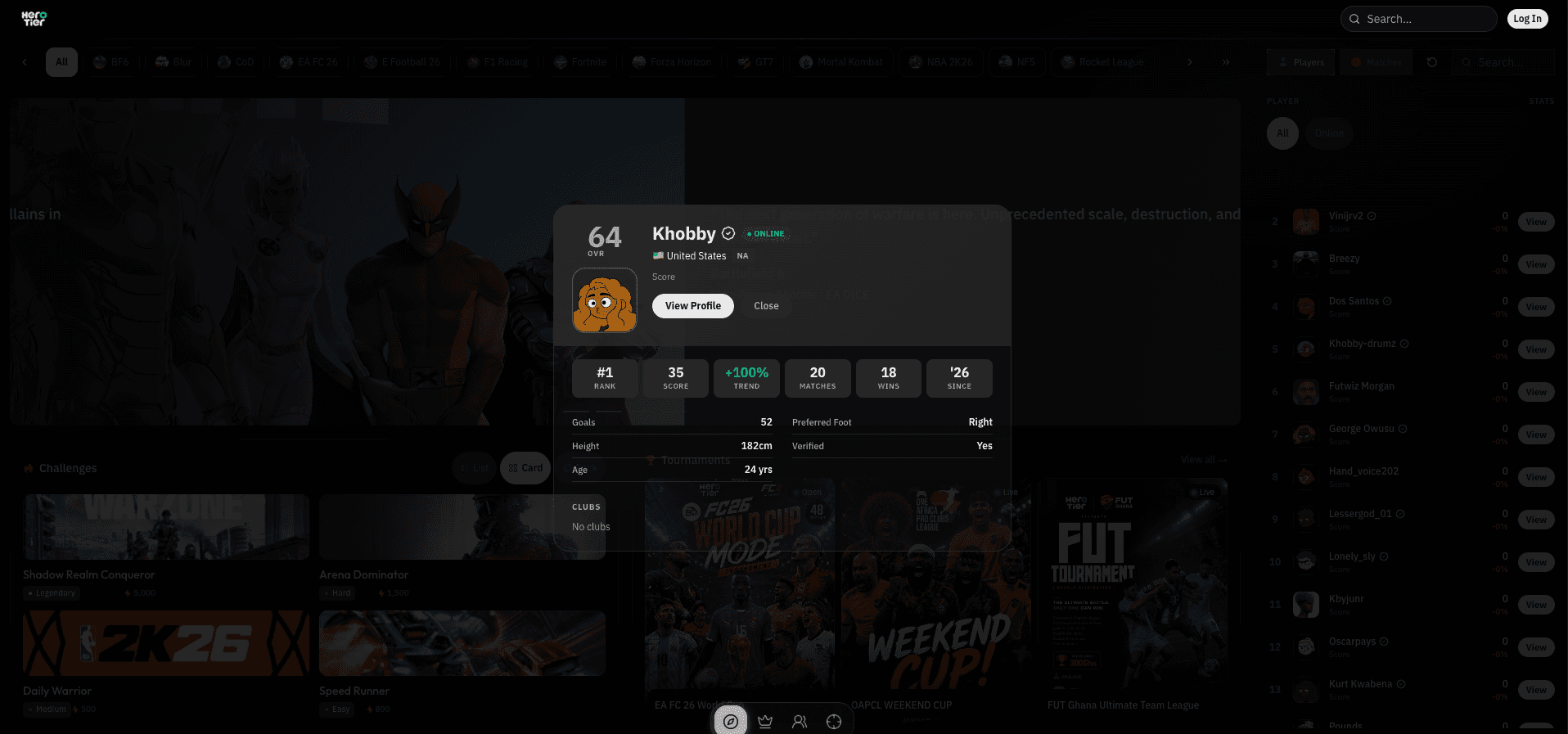 Player profile overview with gamer identity and competitive record.