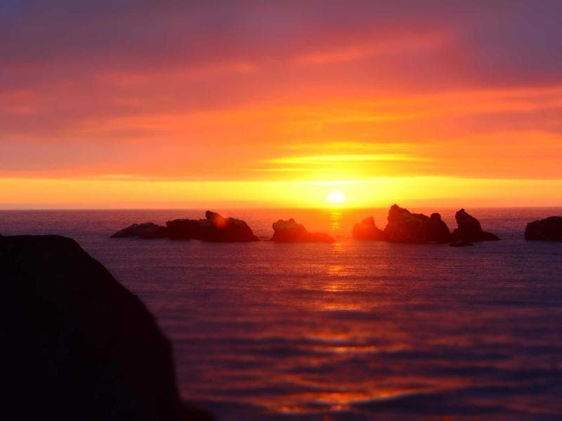 Online Auction Platform